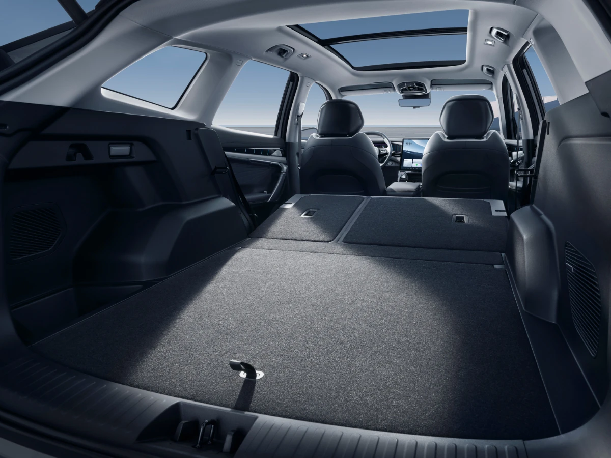 starray features 05 1200w